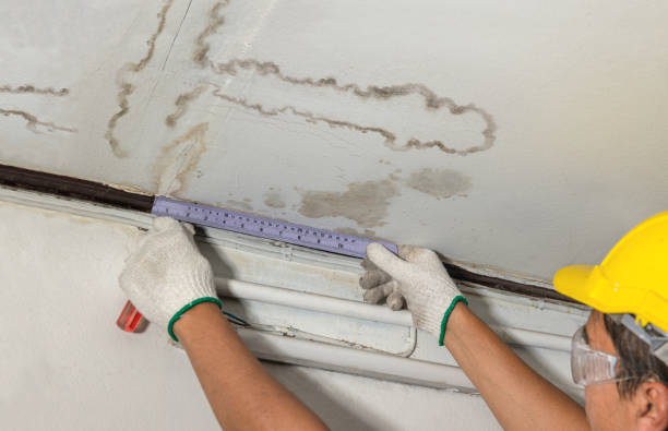 Reliable Mold Remediation contractor in Bluejacket, OK by Water Damage Irwin